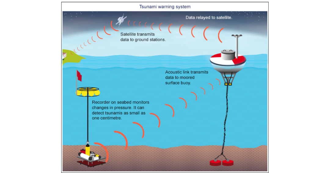 Tidal wave warning system